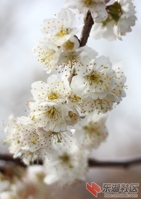 QQ截图20150303190131.png
