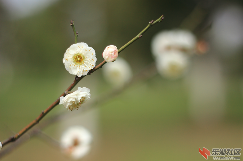 QQ截图20150303190828.png