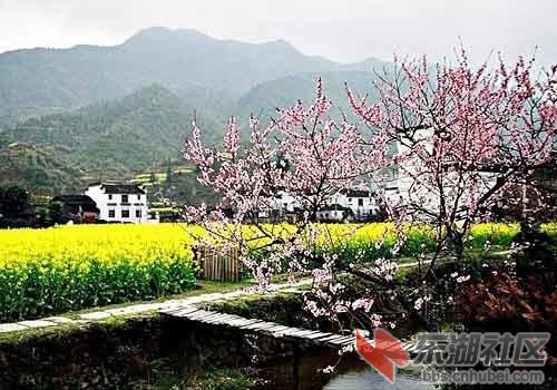 3常德桃花源.jpg