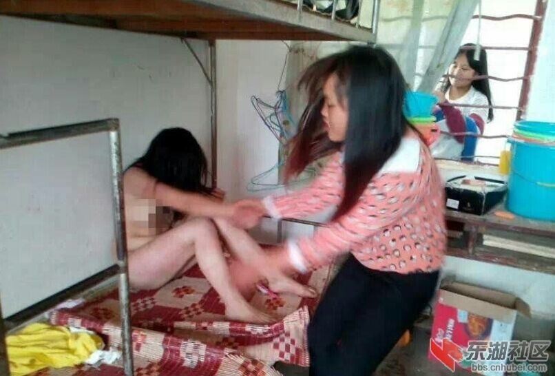 Img7585155_n.jpg
