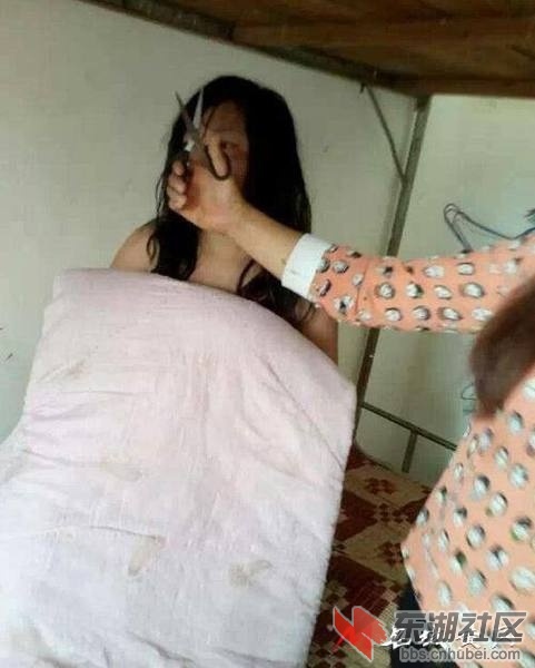 Img7584077_n.jpg