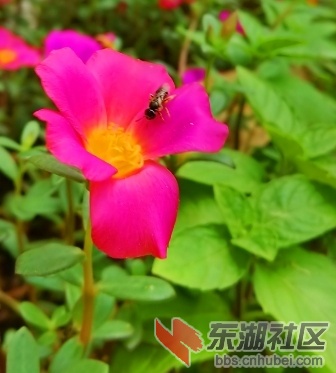 204148dwww4zc70w4gb7hb.jpg.thumb.jpg