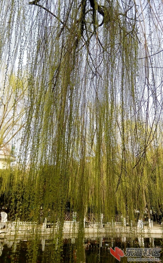 IMG_20150303_155418_副本.jpg