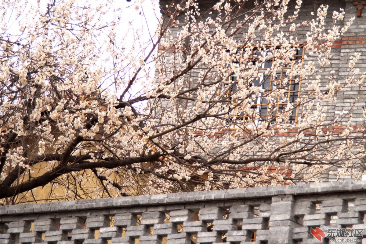 DSC06845.jpg