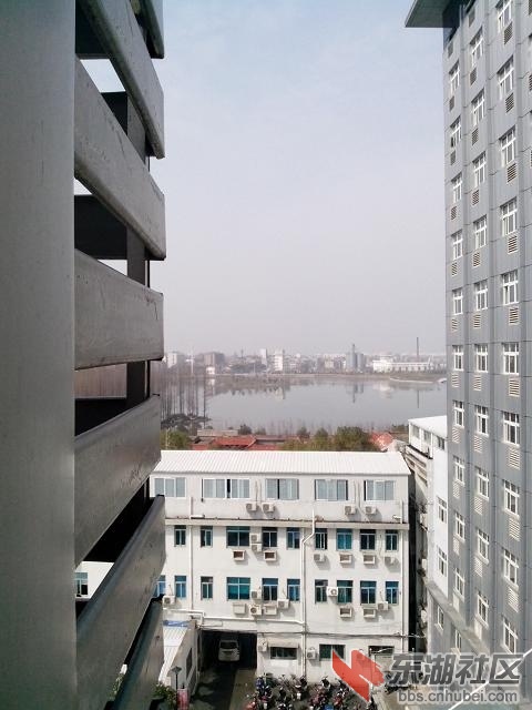 IMG_20150301_120340.jpg