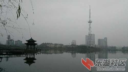 IMG_20150225_102419.jpg