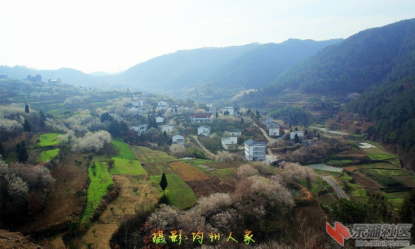 9650.jpg