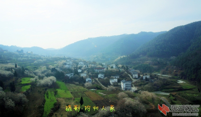 9651.jpg