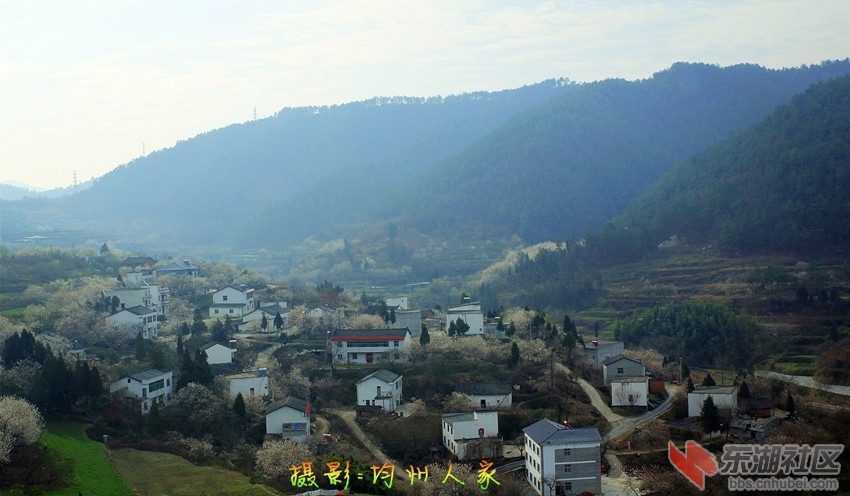 9653.jpg