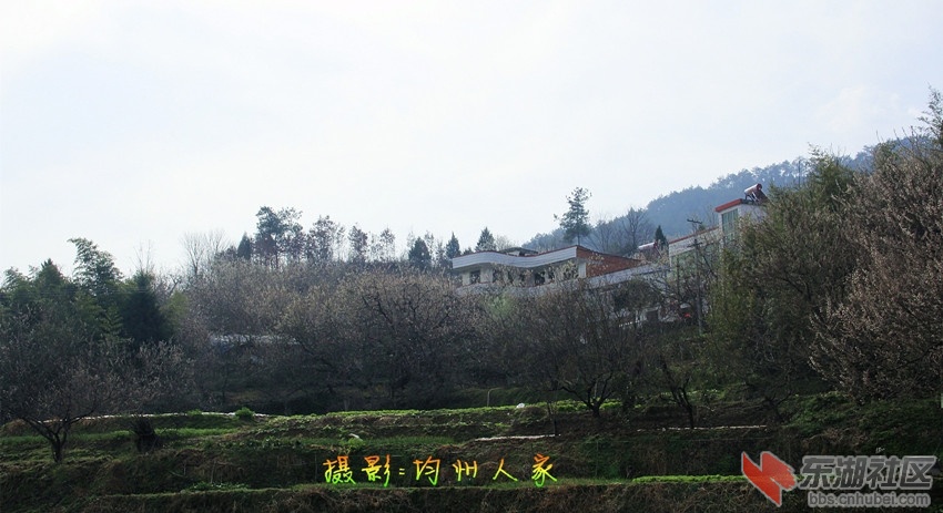 9657.jpg