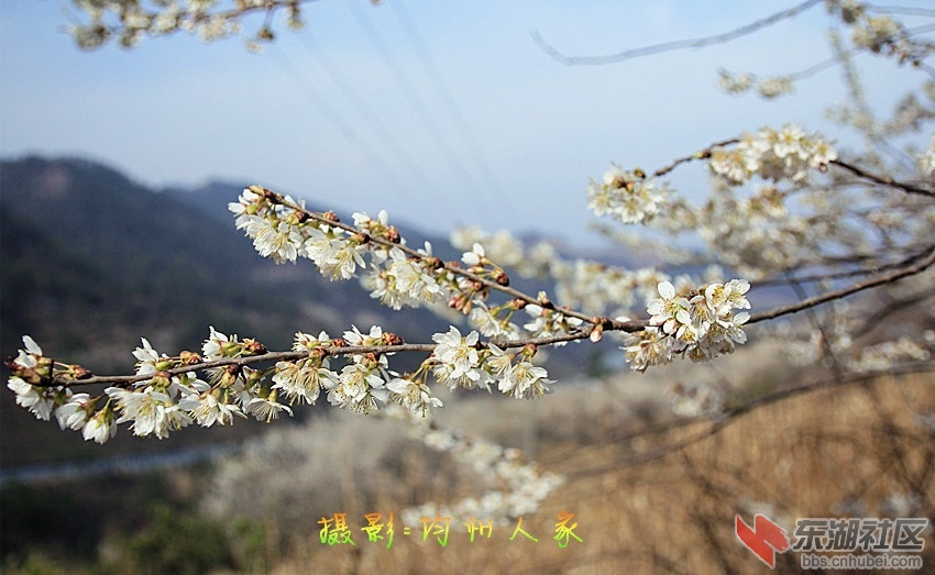 9663.jpg