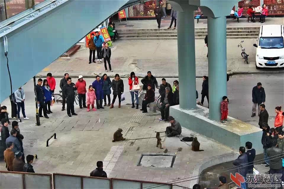 psb.jpg