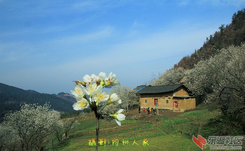 9685.jpg
