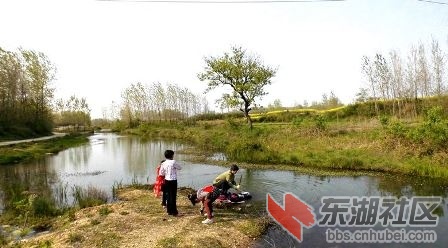 184023mcrmjq11w4turadg.jpg