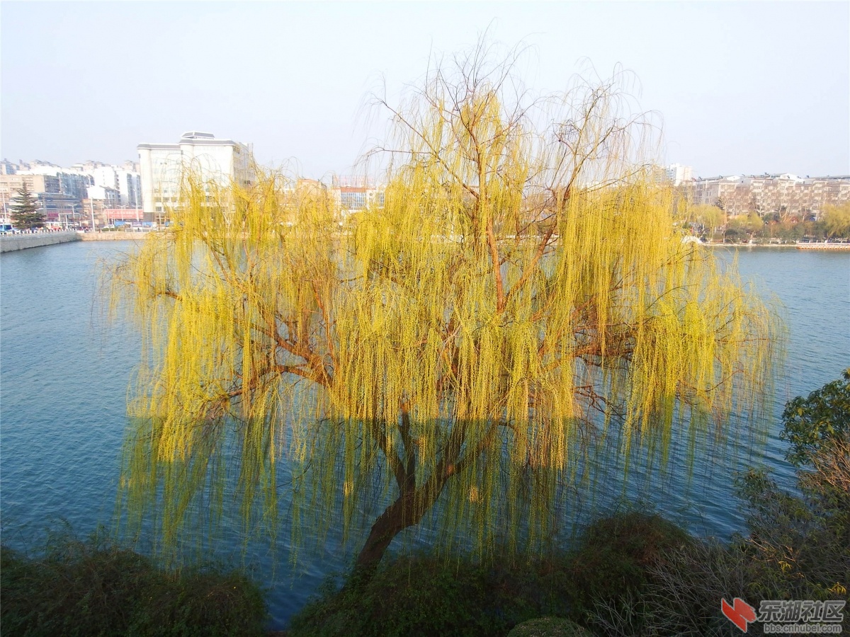 DSCF2165_副本.jpg