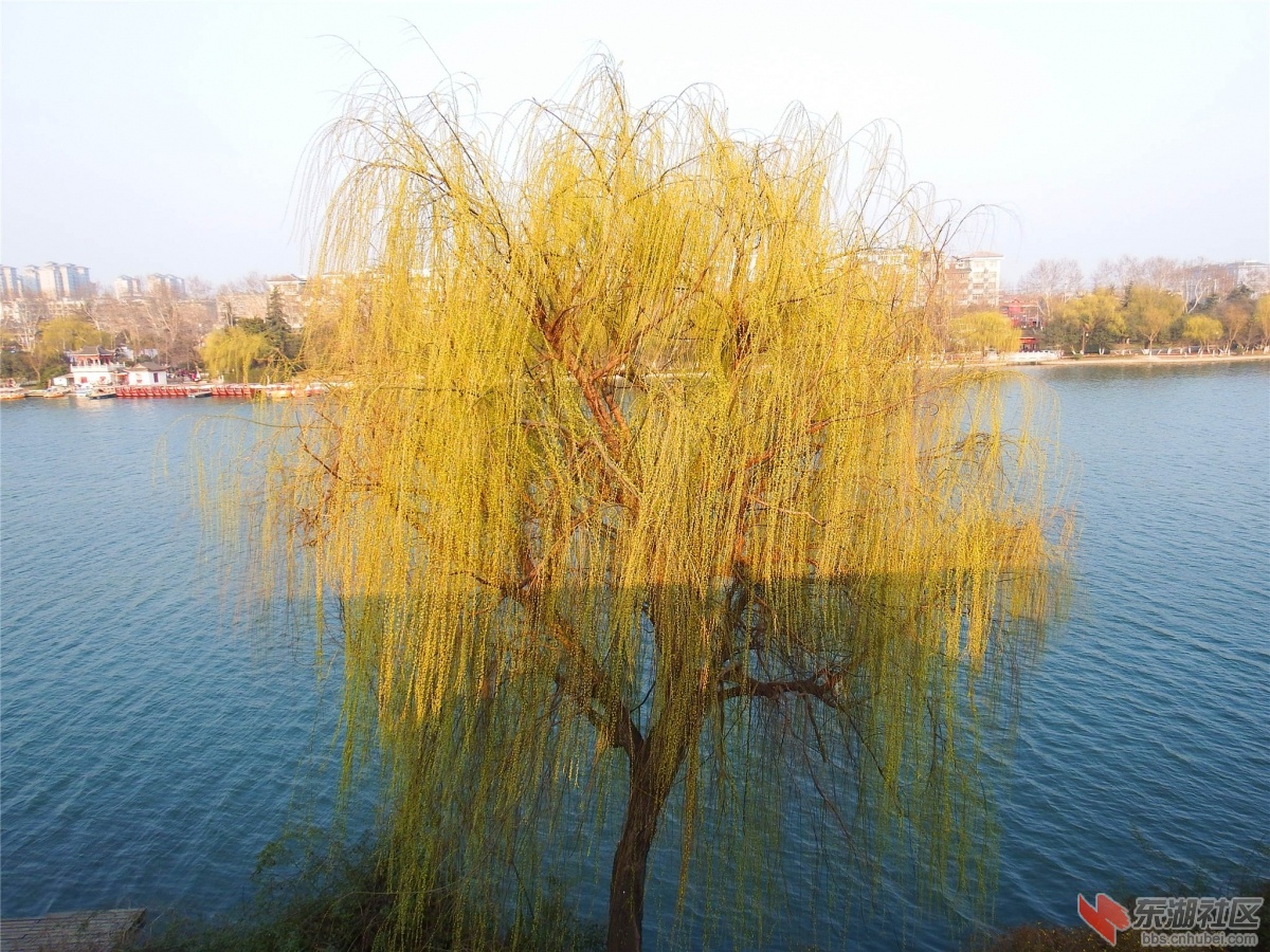 DSCF2189_副本.jpg