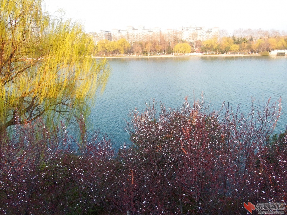 DSCF2197_副本.jpg