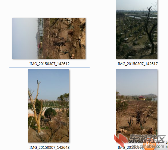 QQ图片20150308114520.png