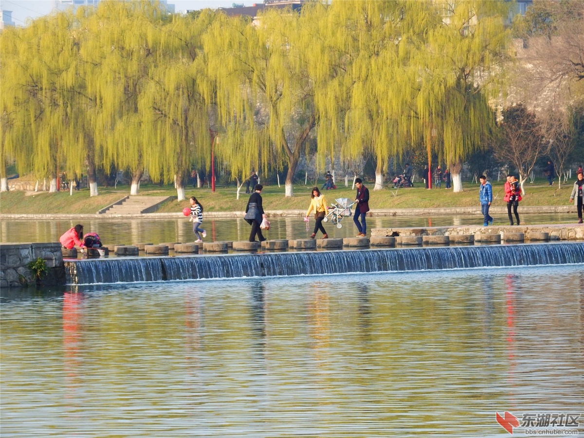DSCF2326_副本.jpg