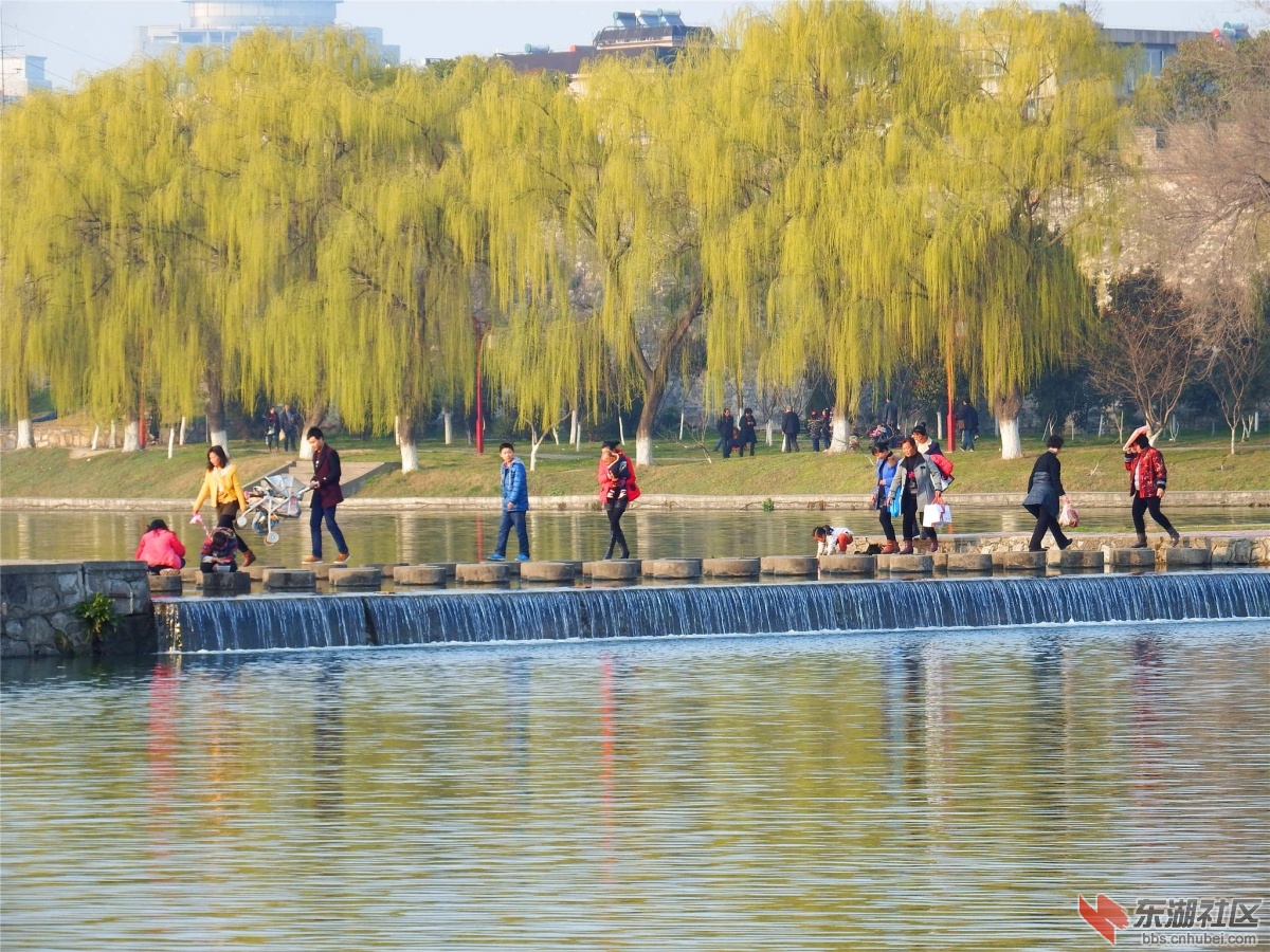DSCF2329_副本.jpg