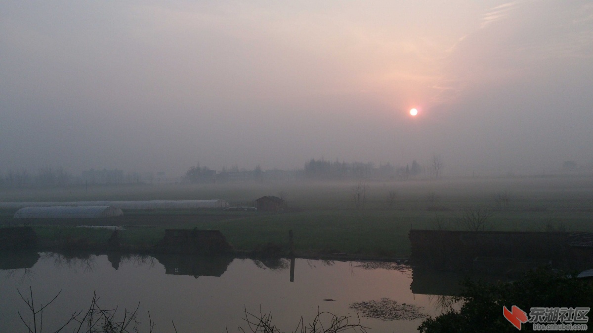 DSC_0013.jpg