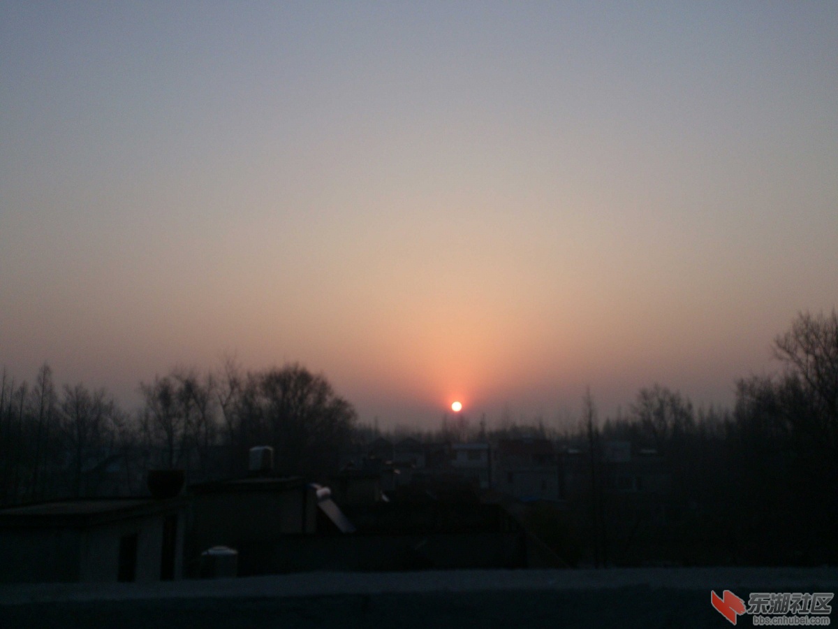 IMG_20150302_070904.jpg