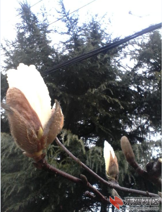 QQ截图20150309075611.png