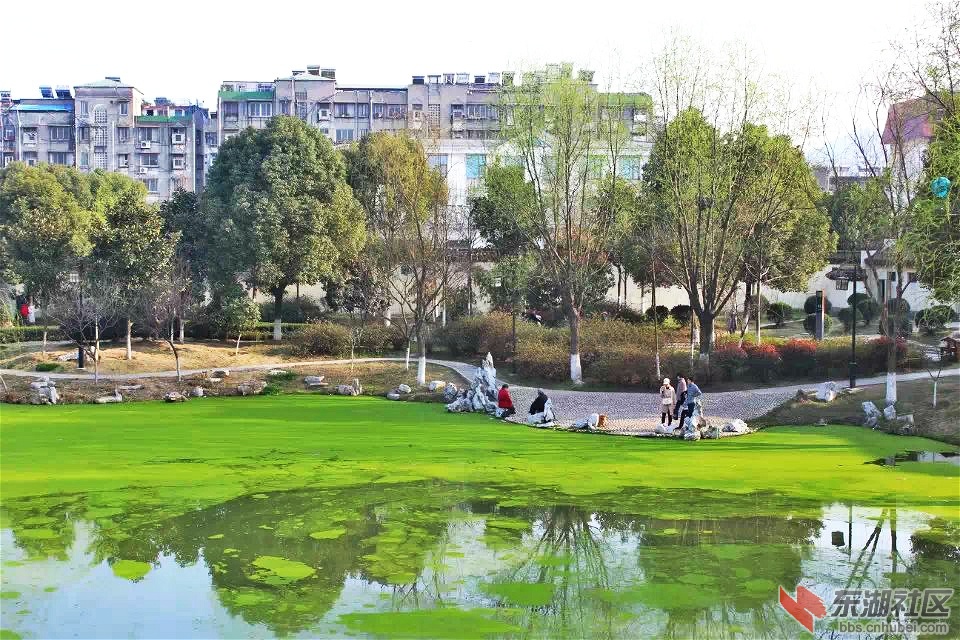 psb_meitu_20.jpg