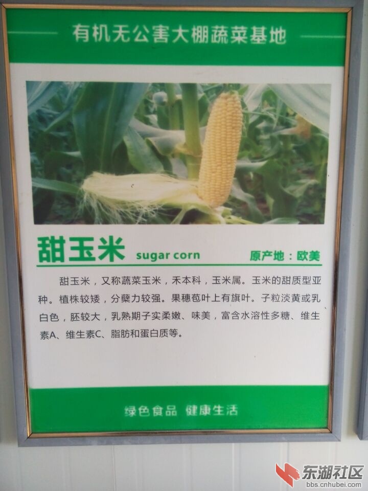 0B3C24E60F831E2C8B80AD283C08ECFE.jpg