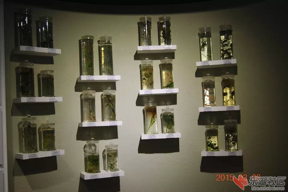 06.jpg