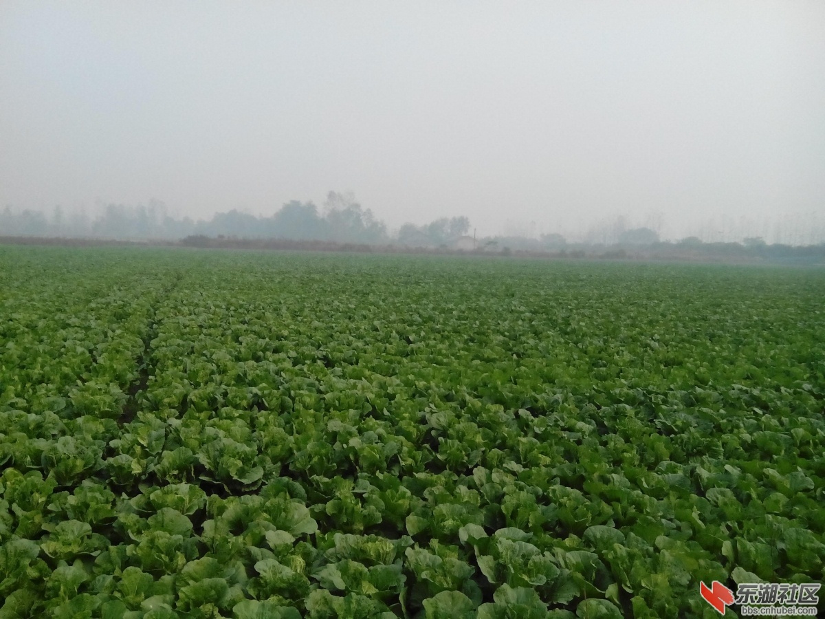 20131205102923774.jpg