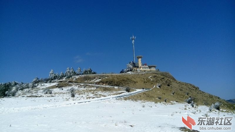IMG_20150307_144215.jpg