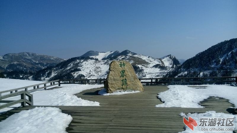IMG_20150307_144003.jpg