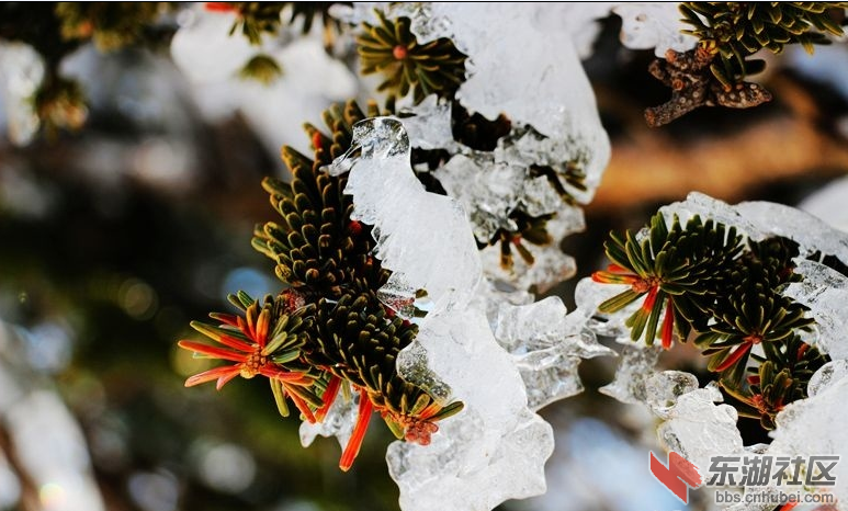 QQ图片20150310104218.png