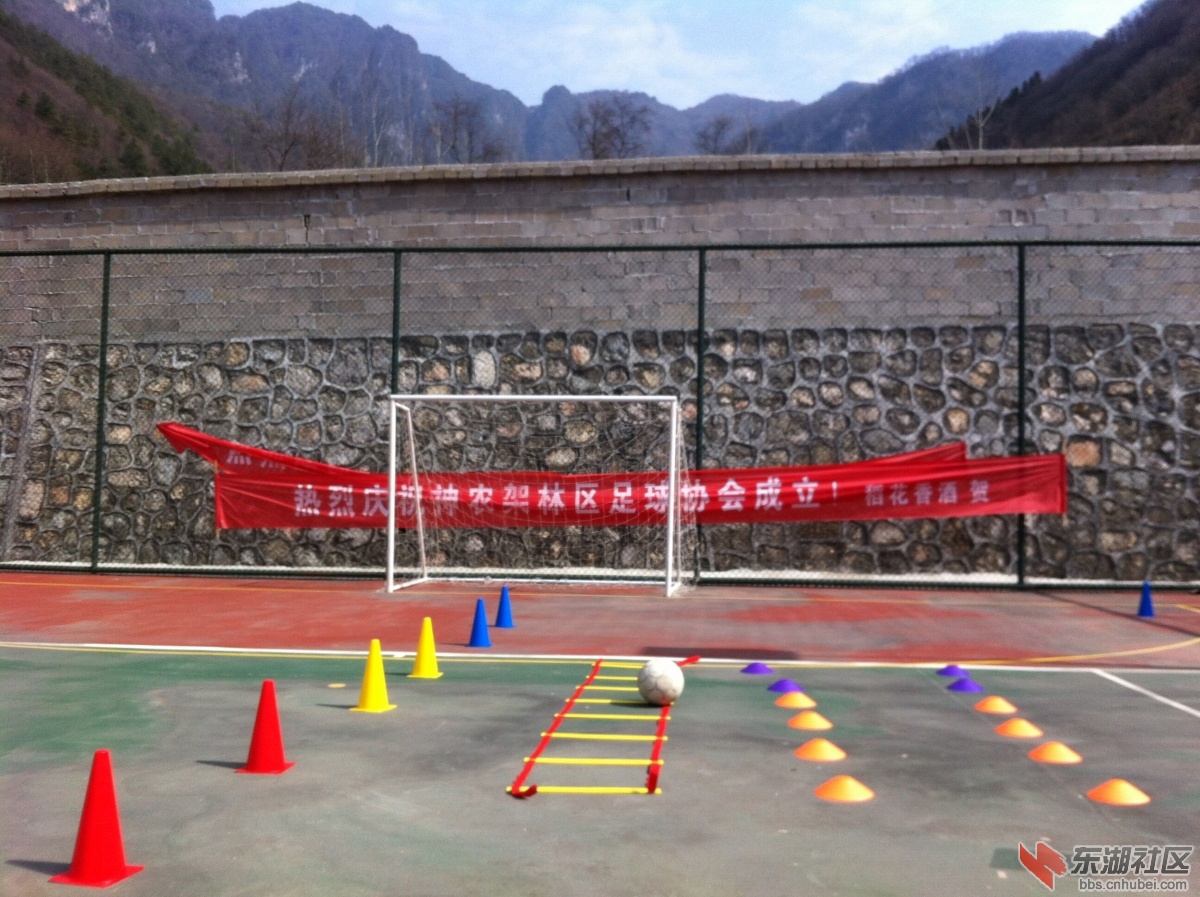 QQ图片20150311105510.jpg