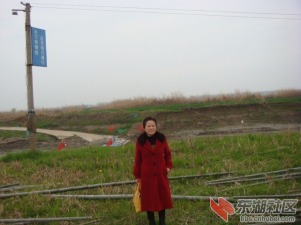 背后是轮渡.jpg