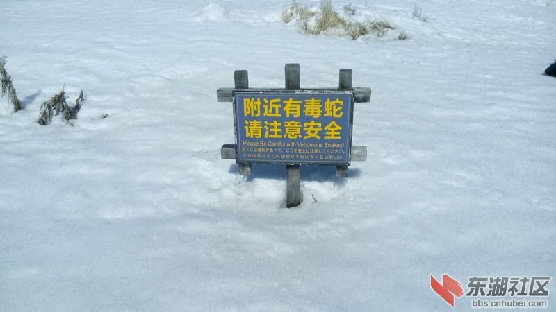IMG_20150307_145908.jpg