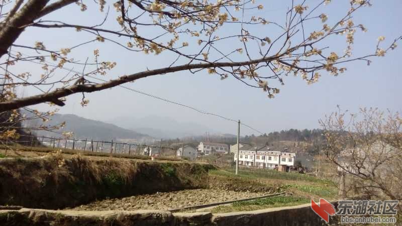 IMG_20150312_110448.jpg