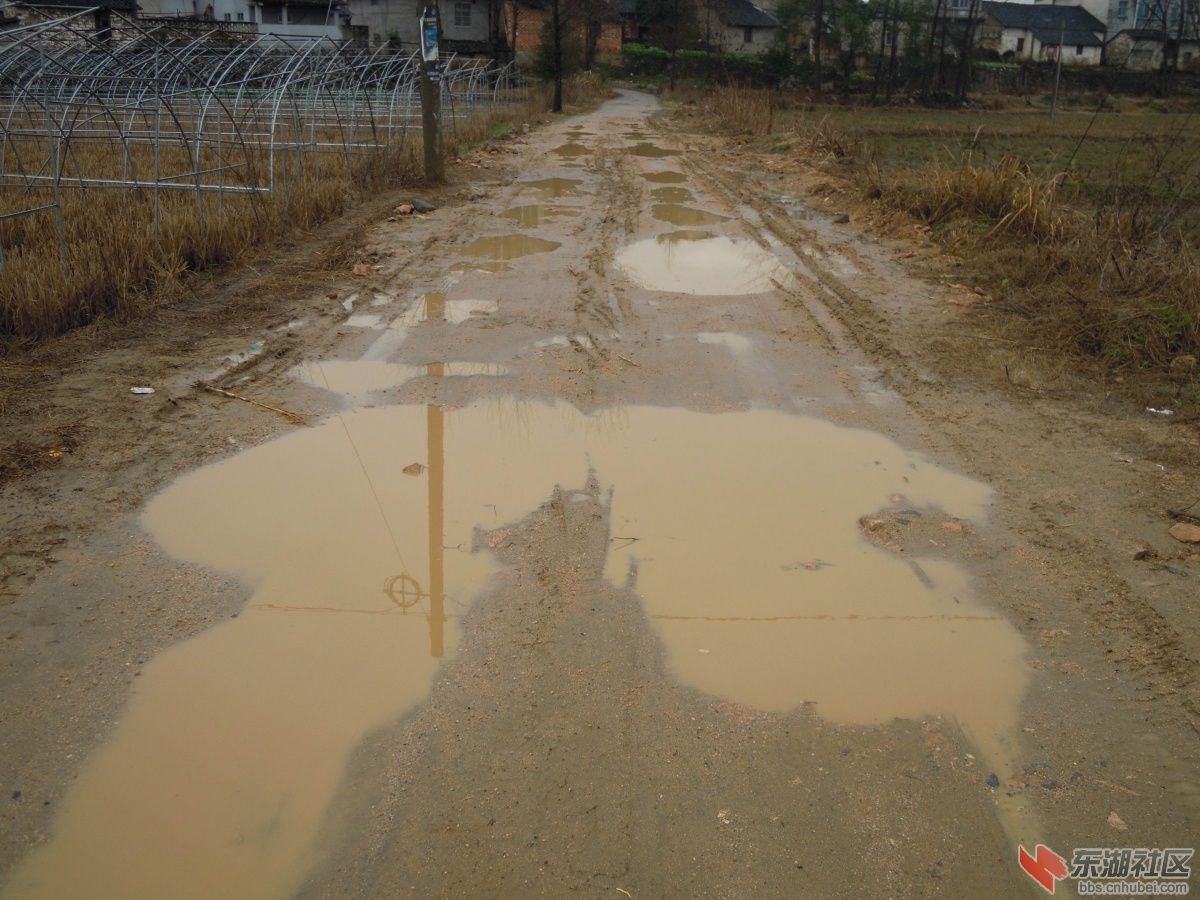 路5.JPG