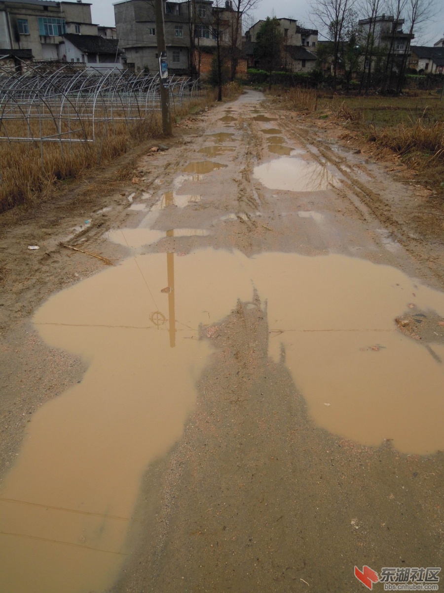 路3.JPG