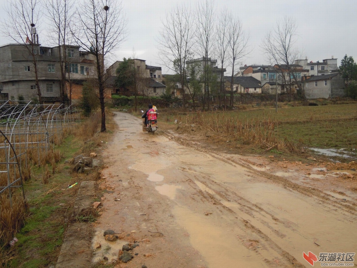 路2.JPG