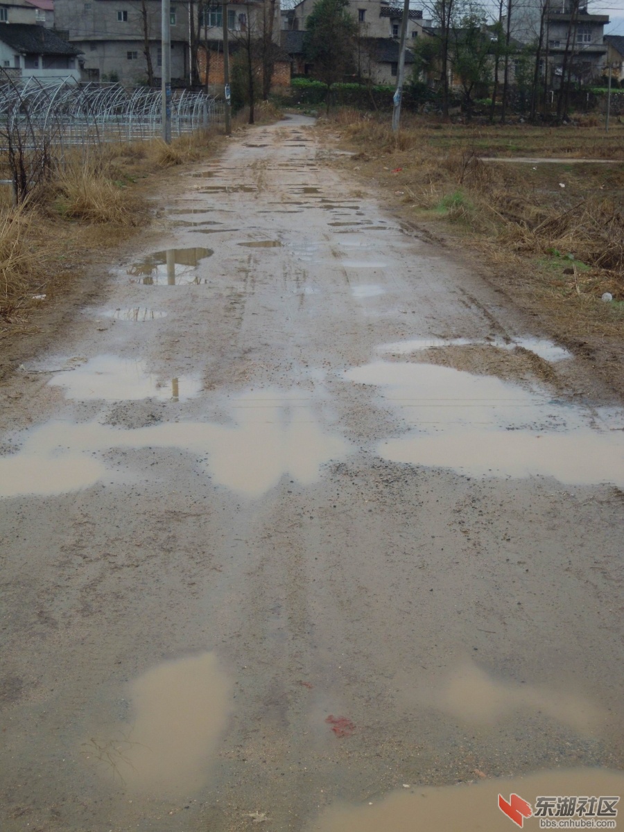 DSCN2828.JPG