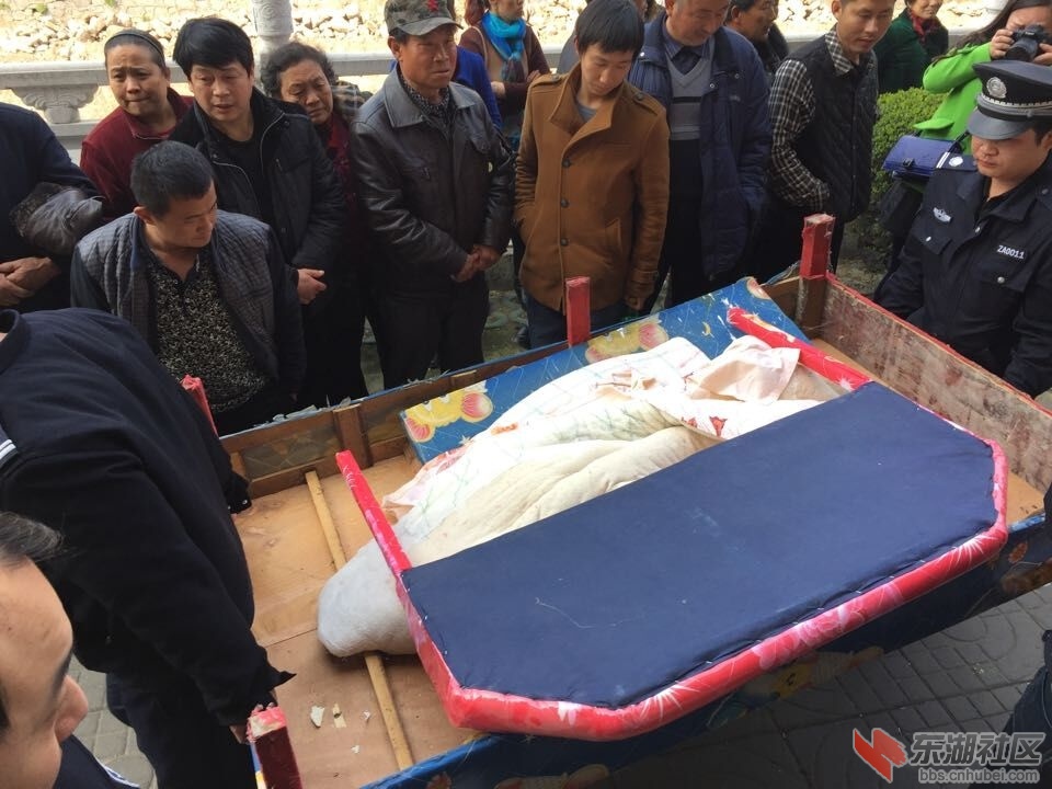 QQ图片20150313092707.jpg
