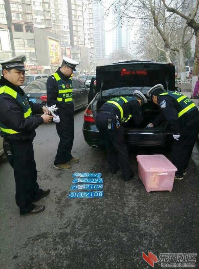 QQ图片20150313101036.jpg