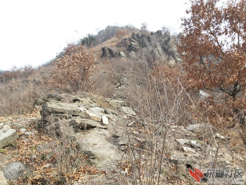 20150307_100736_副本.jpg