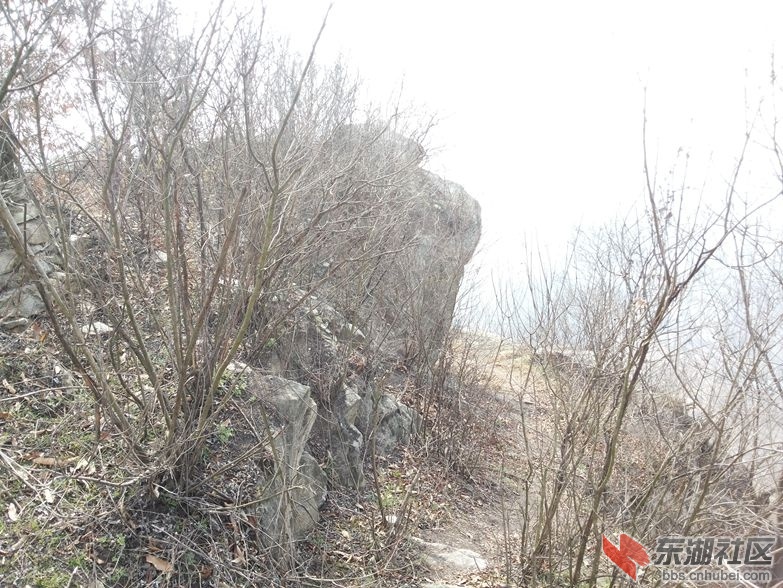 20150307_103202_副本.jpg