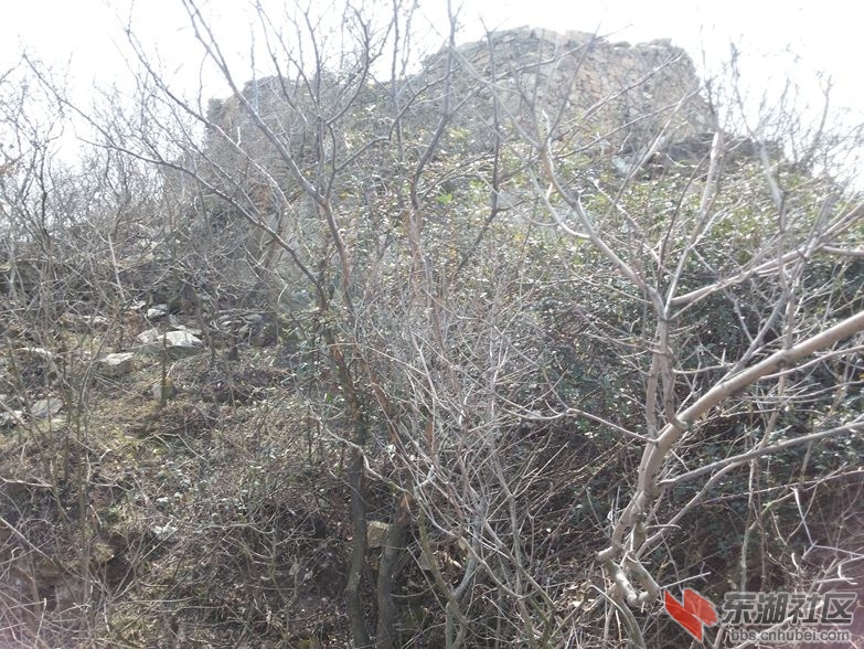 20150307_111725_副本.jpg