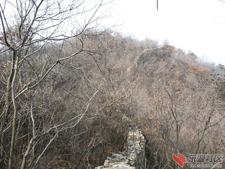 20150307_110717_副本.jpg