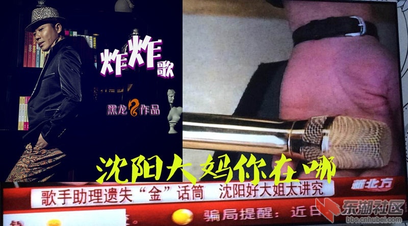 黑龙金话筒.jpg