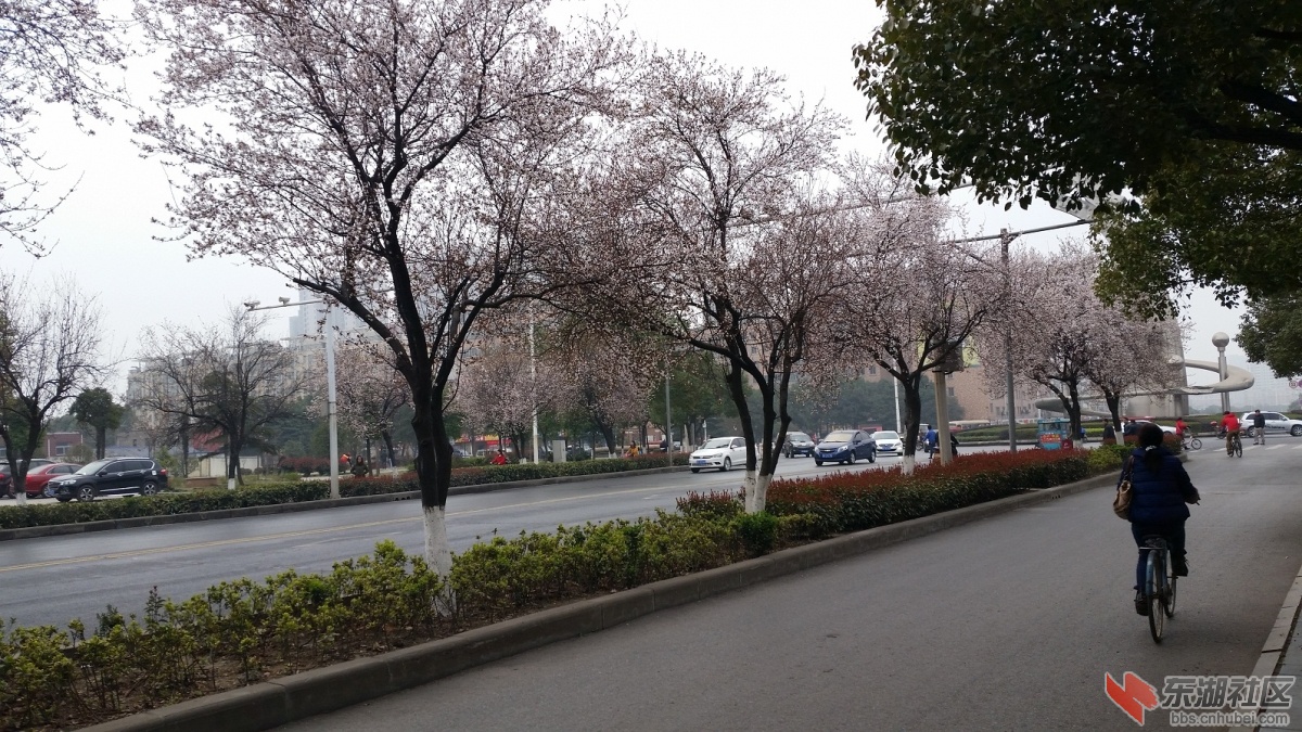 20150313_075708.jpg